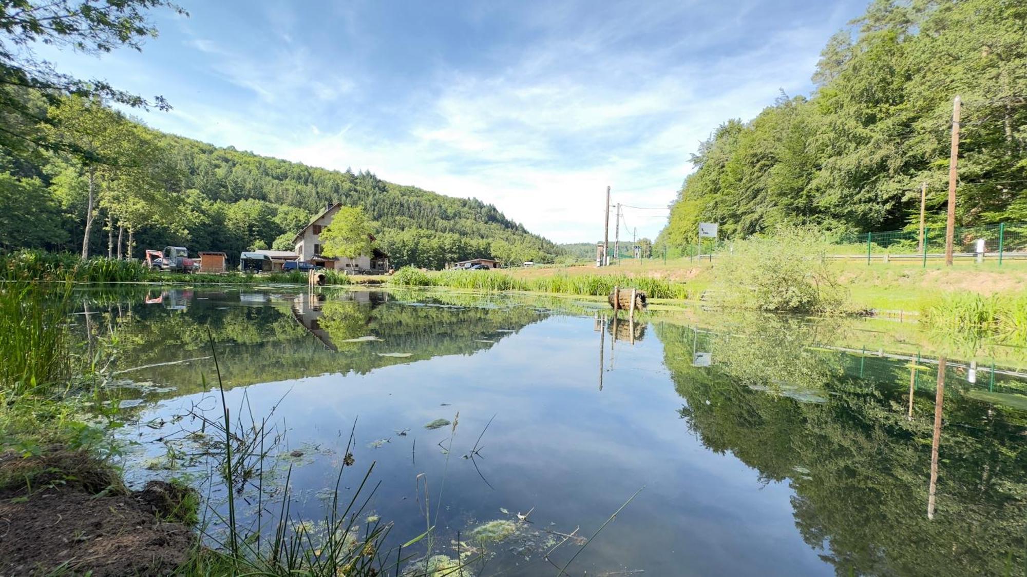 Maison D'Hotes En Pleine Nature Avec Chevaux Soucht Buitenkant foto