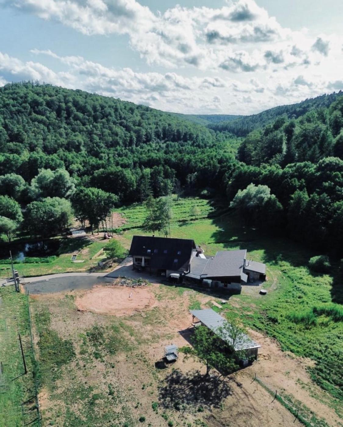 Maison D'Hotes En Pleine Nature Avec Chevaux Soucht Buitenkant foto