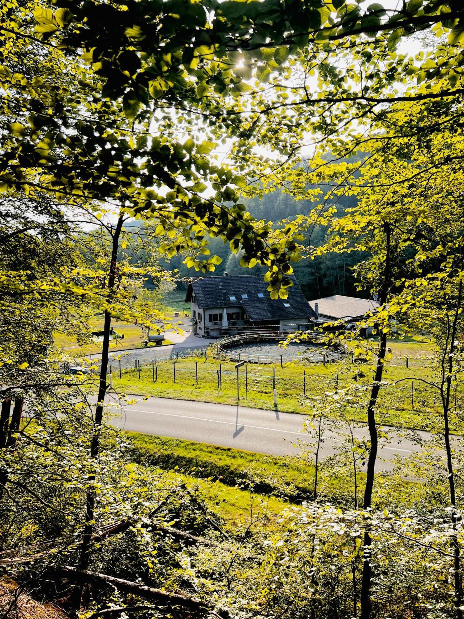 Maison D'Hotes En Pleine Nature Avec Chevaux Soucht Buitenkant foto