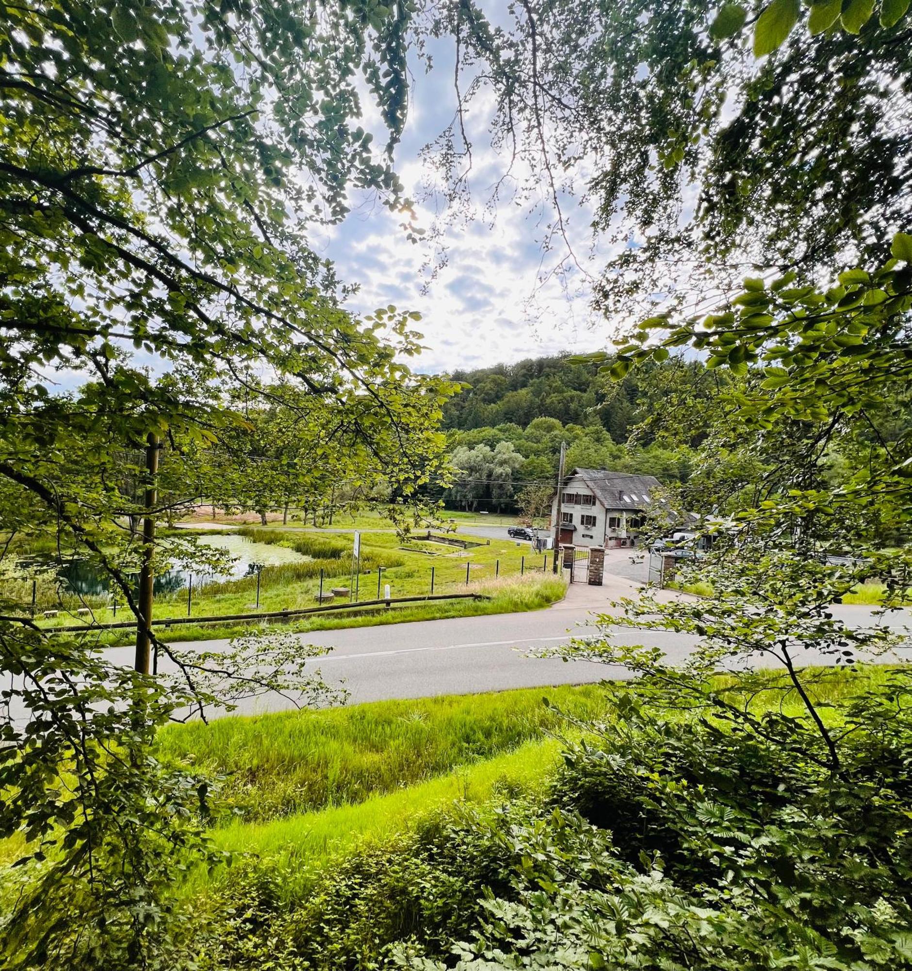Maison D'Hotes En Pleine Nature Avec Chevaux Soucht Buitenkant foto